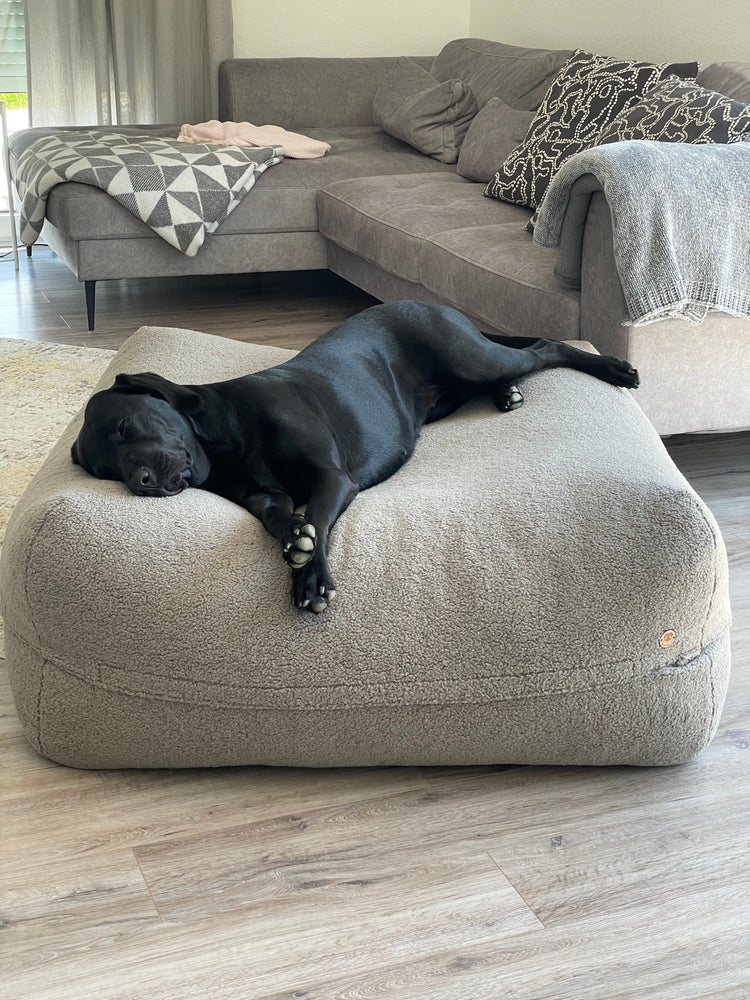 Schwarzer Hund liegt auf dem Dozzy Pouf Hundebett im Wohnzimmer – Premium Hundebett handgemacht in Deutschland, DozzyDog