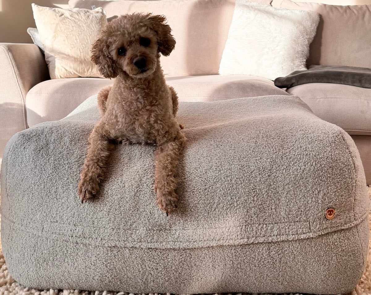 Kleiner Hund liegt auf dem Poufet Pouf Bouclé Hellgrau – kuschelige Mulde, Premium Hundebett, Poufet Manufaktur