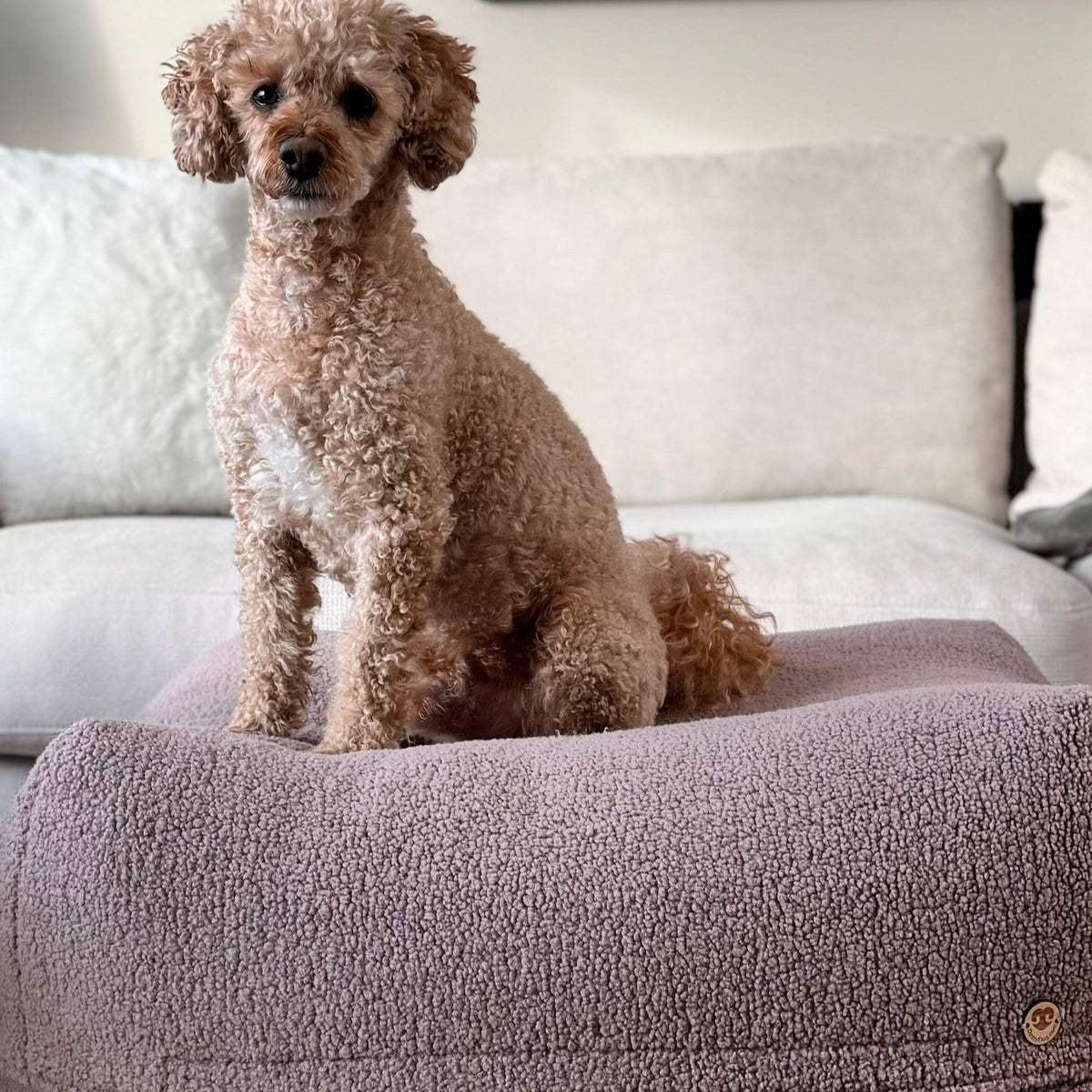 Hund entspannt im Poufet Pouf Altrosa, visco-elastischer Schaum, Poufet handgemacht