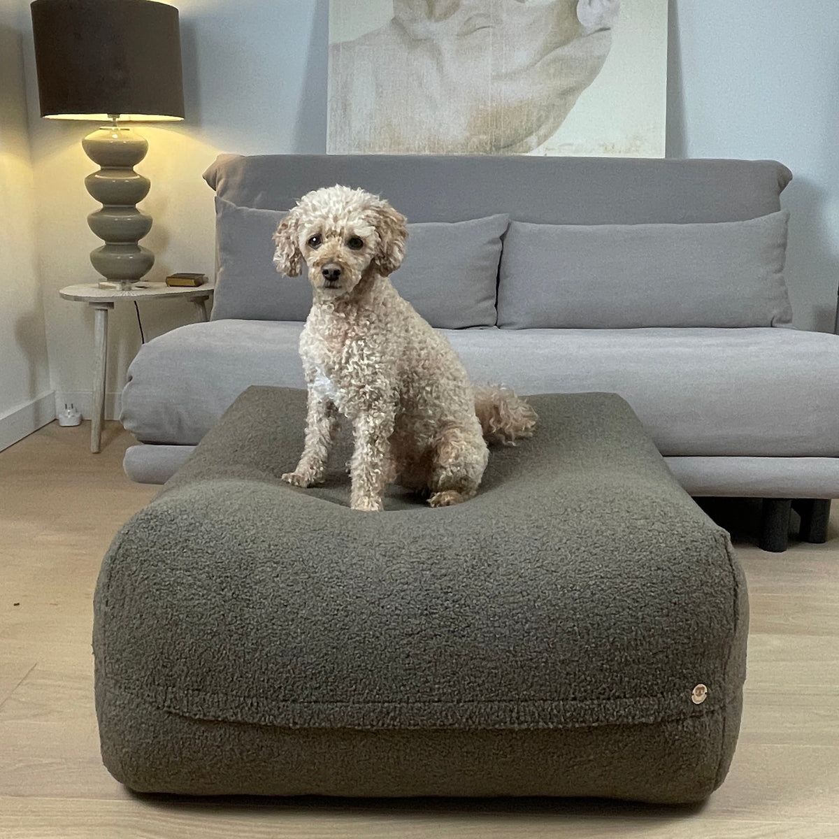 Hund liegt auf Poufet Pouf mit Bouclé-Bezug – handgemachtes Hundebett von Poufet
