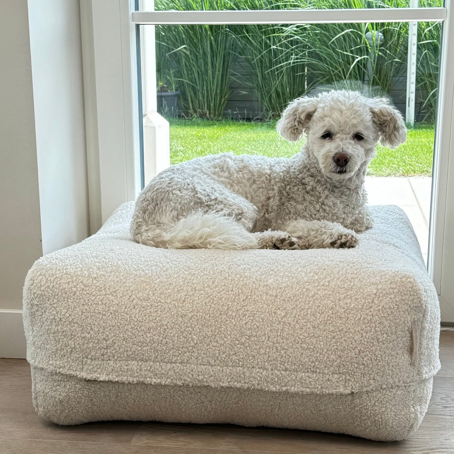 Hund auf dem Poufet  DreamPad Breitcord Dunkelgrau im Garten – zeigt die großzügige Liegefläche, Poufet  Manufaktur