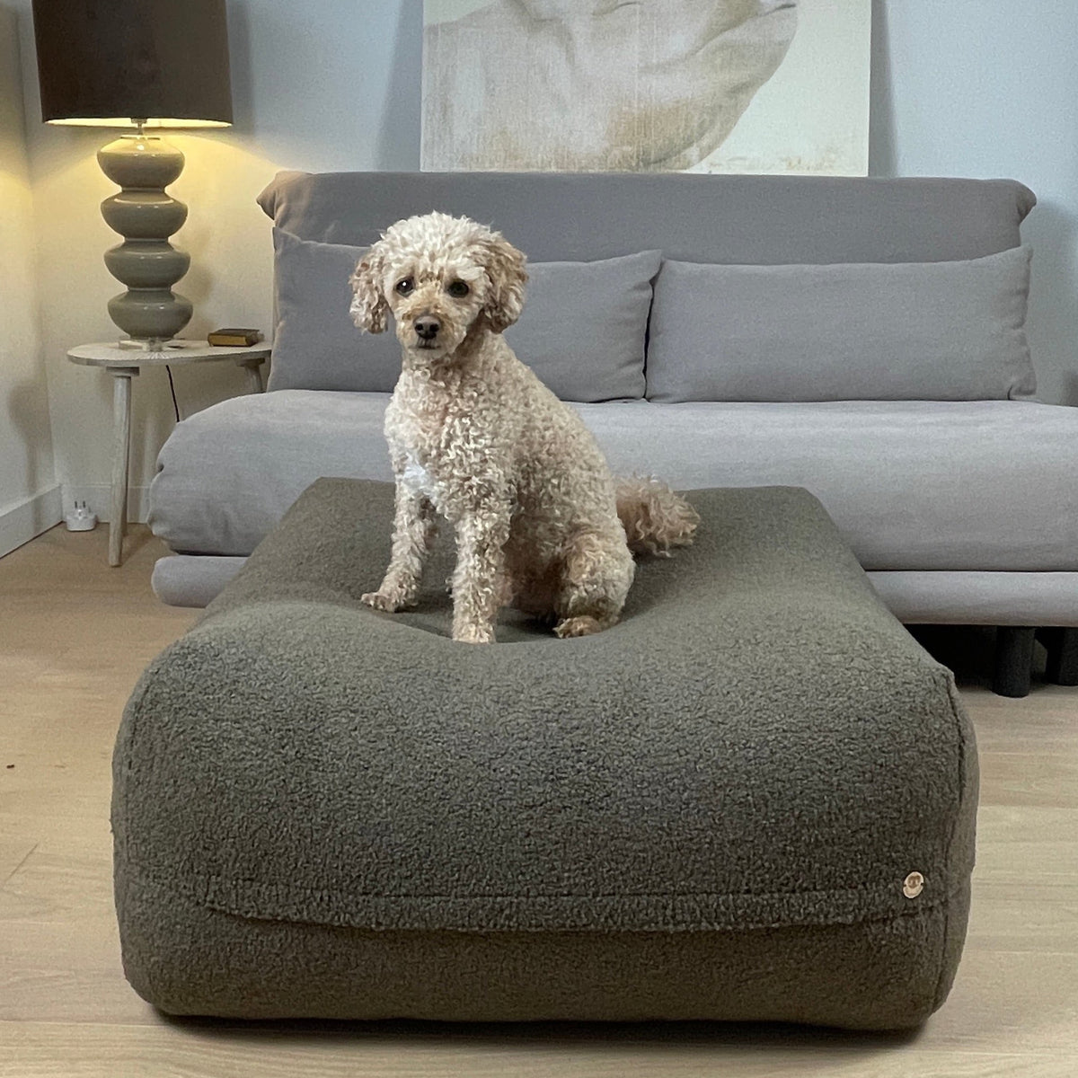 Hund auf dem Poufet DreamPad Bouclé Schokobraun – sanfte Kuhle in der Mitte, orthopädischer Komfort, Poufet
