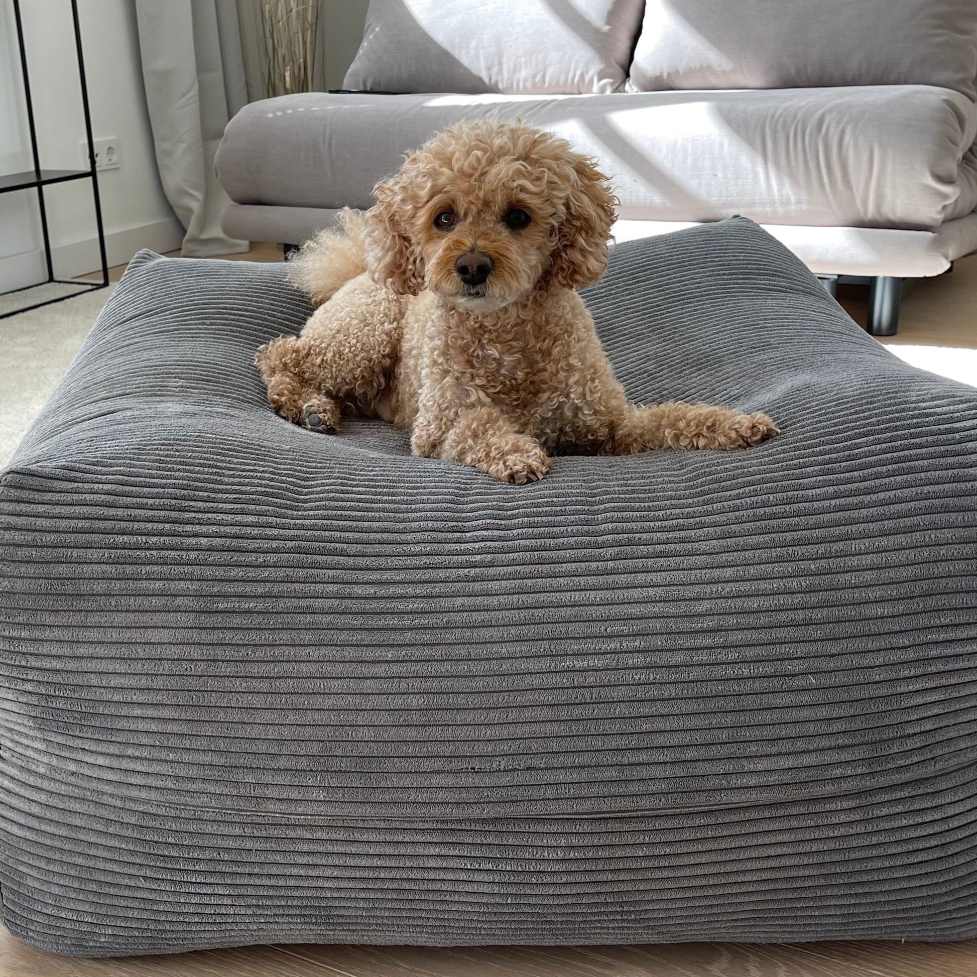 Hund liegt auf dem Poufet  DreamPad Breitcord Dunkelgrau – sanfte Kuhle in der Mitte, orthopädischer Komfort, Poufet 
