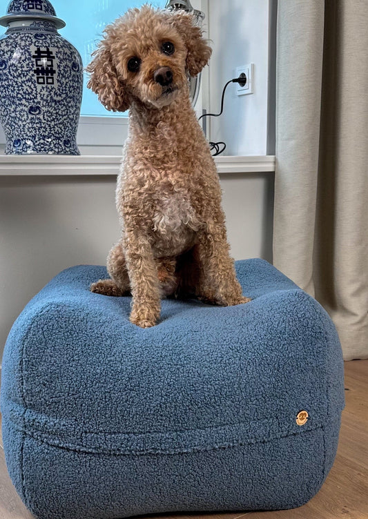 Hund steht auf dem Poufet Pouf Hundebett in Bouclé Hellblau – zeigt die großzügige Liegefläche, handgemacht in Deutschland
