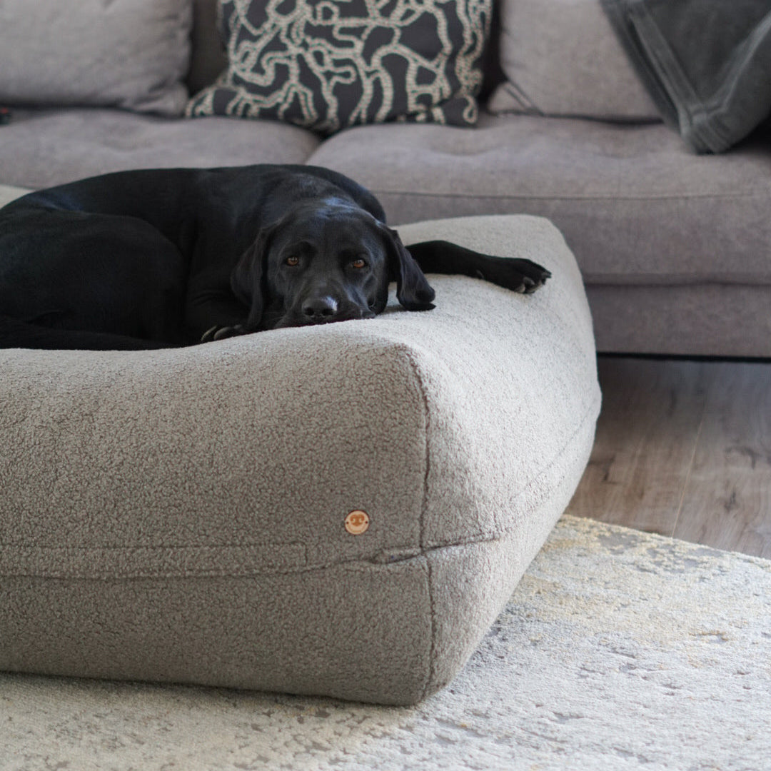 Hund liegt auf Poufet Pouf mit Bouclé-Bezug – handgemachtes Hundebett von Poufet