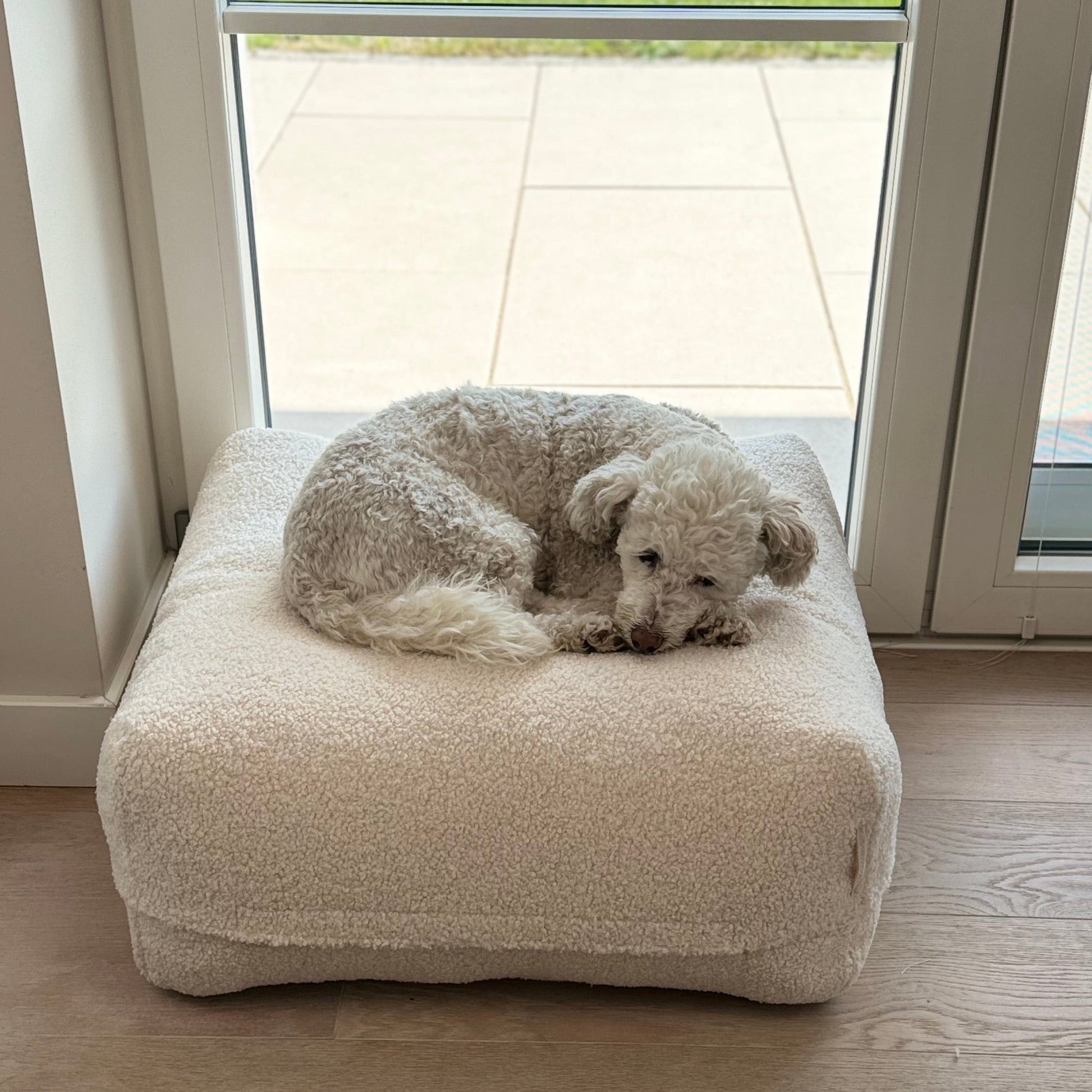 Hund auf dem Poufet DreamPad Breitcord Türkis im Garten – zeigt die großzügige Liegefläche, Poufet Manufaktur