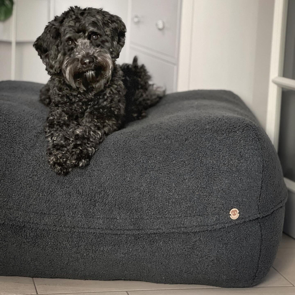 Schwarzer Pudel liegt auf dem Poufet Pouf Hundebett in Premium Bouclé Anthrazit – Größe L, handgemacht in Deutschland
