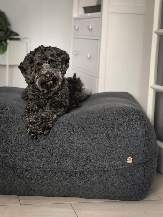 Schwarzer Pudel liegt auf dem Poufet Pouf Hundebett in Premium Bouclé Anthrazit – Größe L, handgemacht in Deutschland