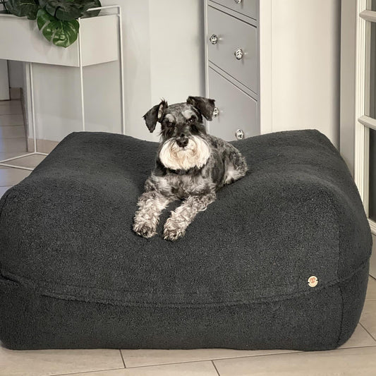 Hund liegt auf dem Poufet DreamPad Bouclé Anthrazit – flaches Hundebett ca. 25 cm, handgemacht in Deutschland, Poufet 
