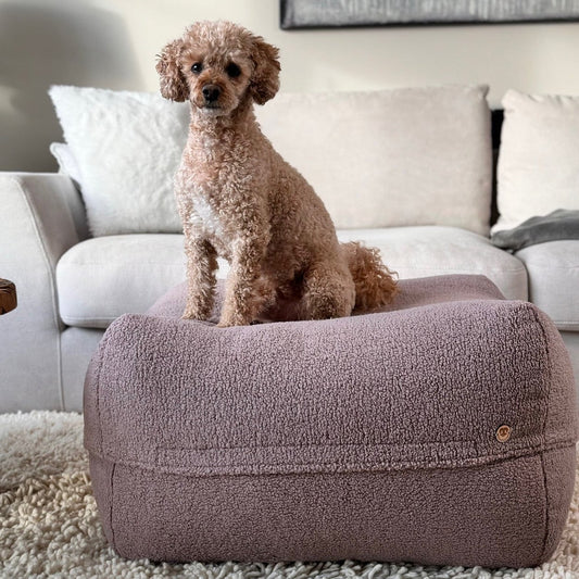 Hund liegt auf dem Poufet DreamPad Bouclé Altrosa – flaches Hundebett ca. 25 cm, handgemacht in Deutschland, Poufet
