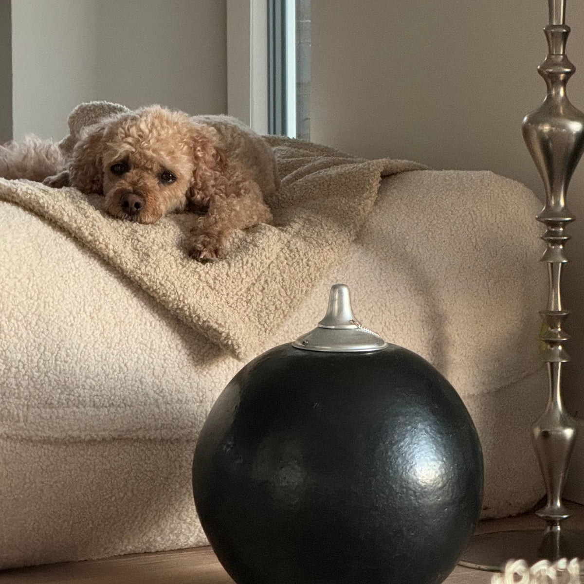 Hund liegt auf Poufet Pouf mit Bouclé-Bezug – handgemachtes Hundebett von Poufet
