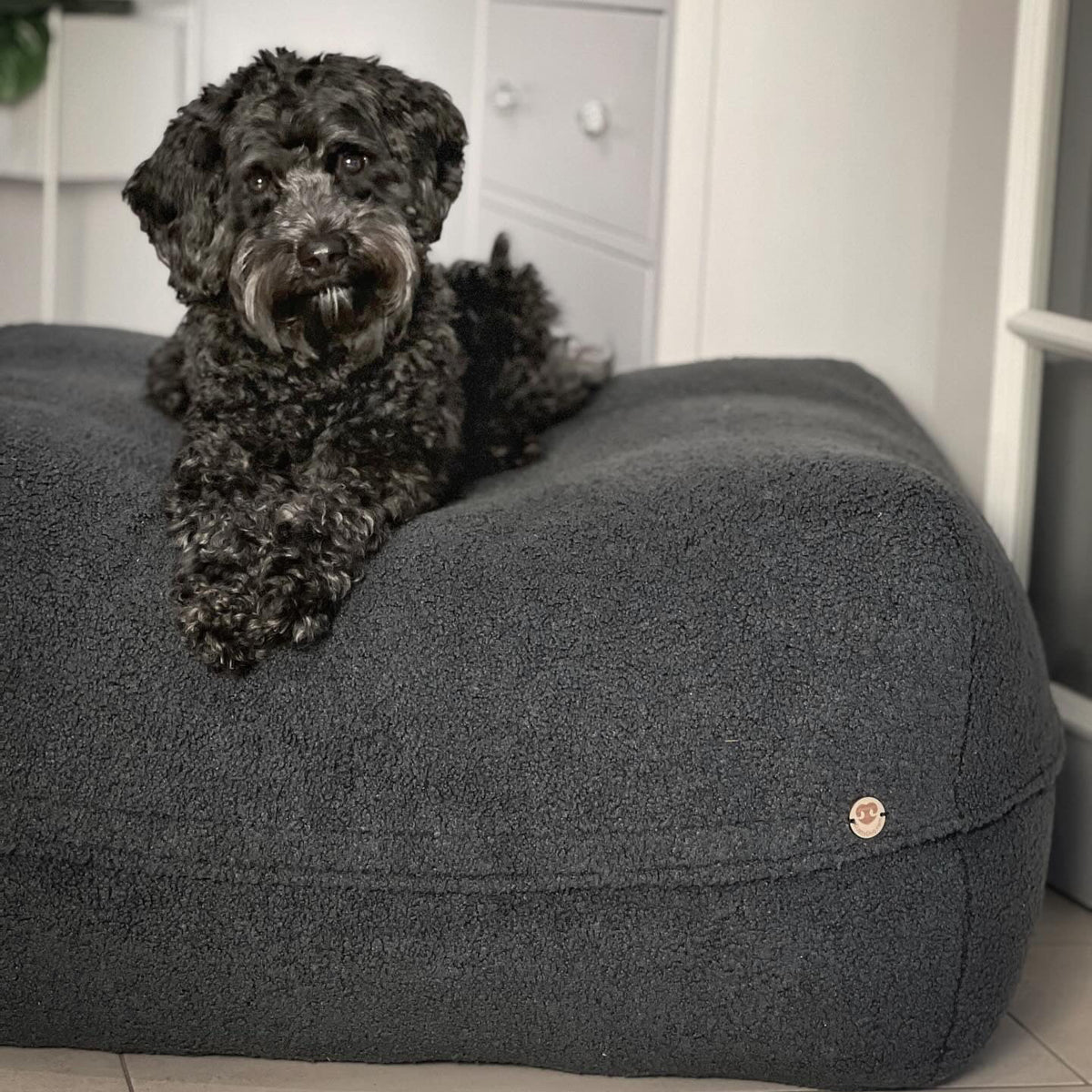 Hund liegt auf Poufet Pouf mit Bouclé-Bezug – handgemachtes Hundebett von Poufet
