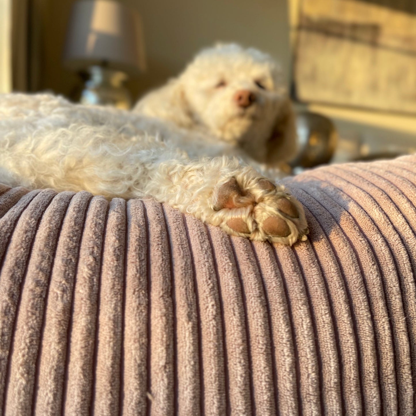 Hund liegt auf dem Poufet DreamPad Breitcord Altrosa – flaches Hundebett ca. 25 cm, handgemacht in Deutschland,  Poufet
