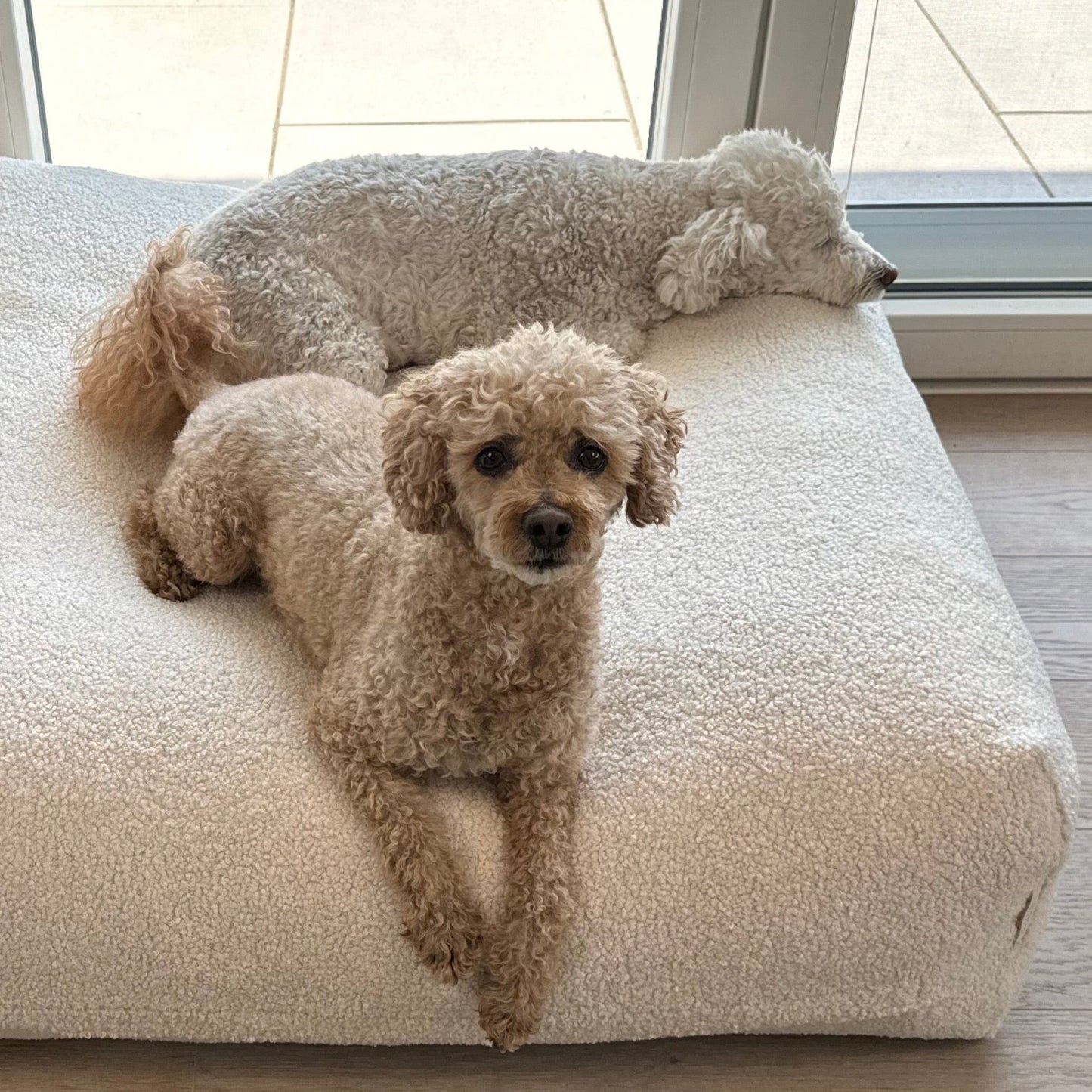 zwei Hunde auf dem PoufetDreamPad – Memory-Schaumflocken für optimalen Gelenkschutz, Poufet

