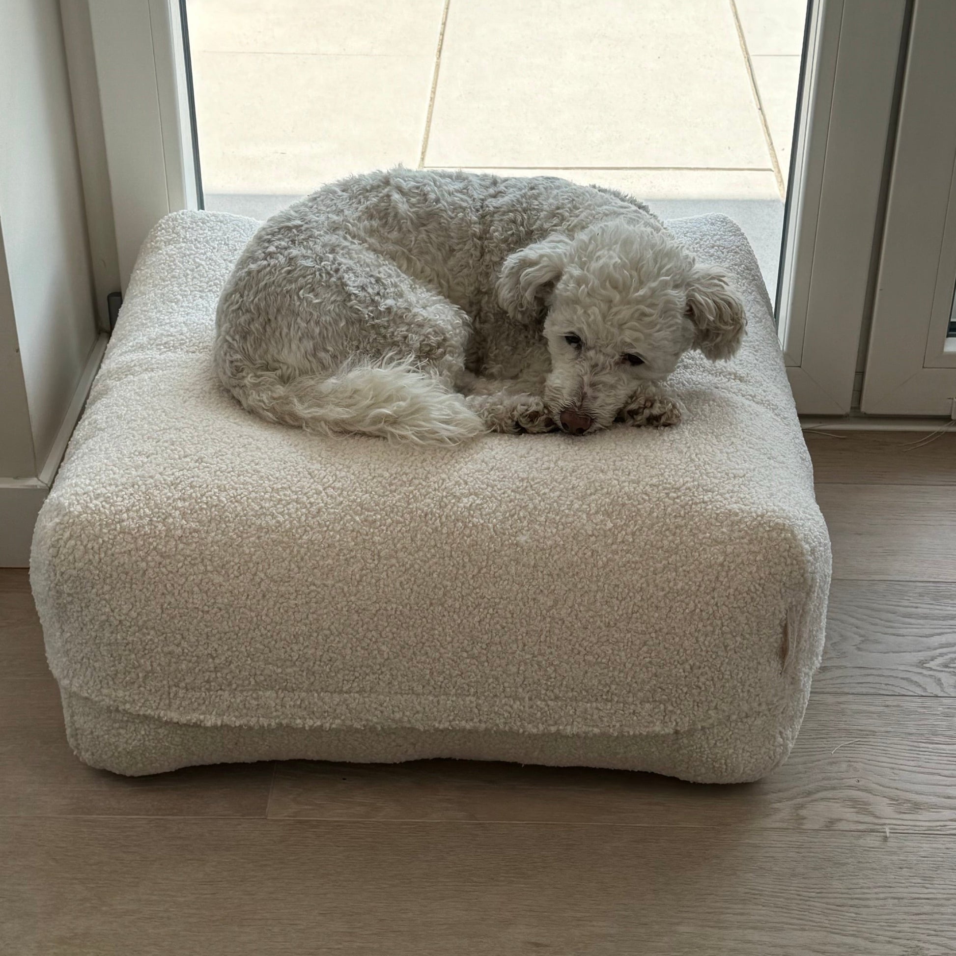 Hund auf dem Poufet DreamPad Breitcord Dunkelgrün – Draufsicht zeigt die sanfte Kuhle in der Mitte, Poufet