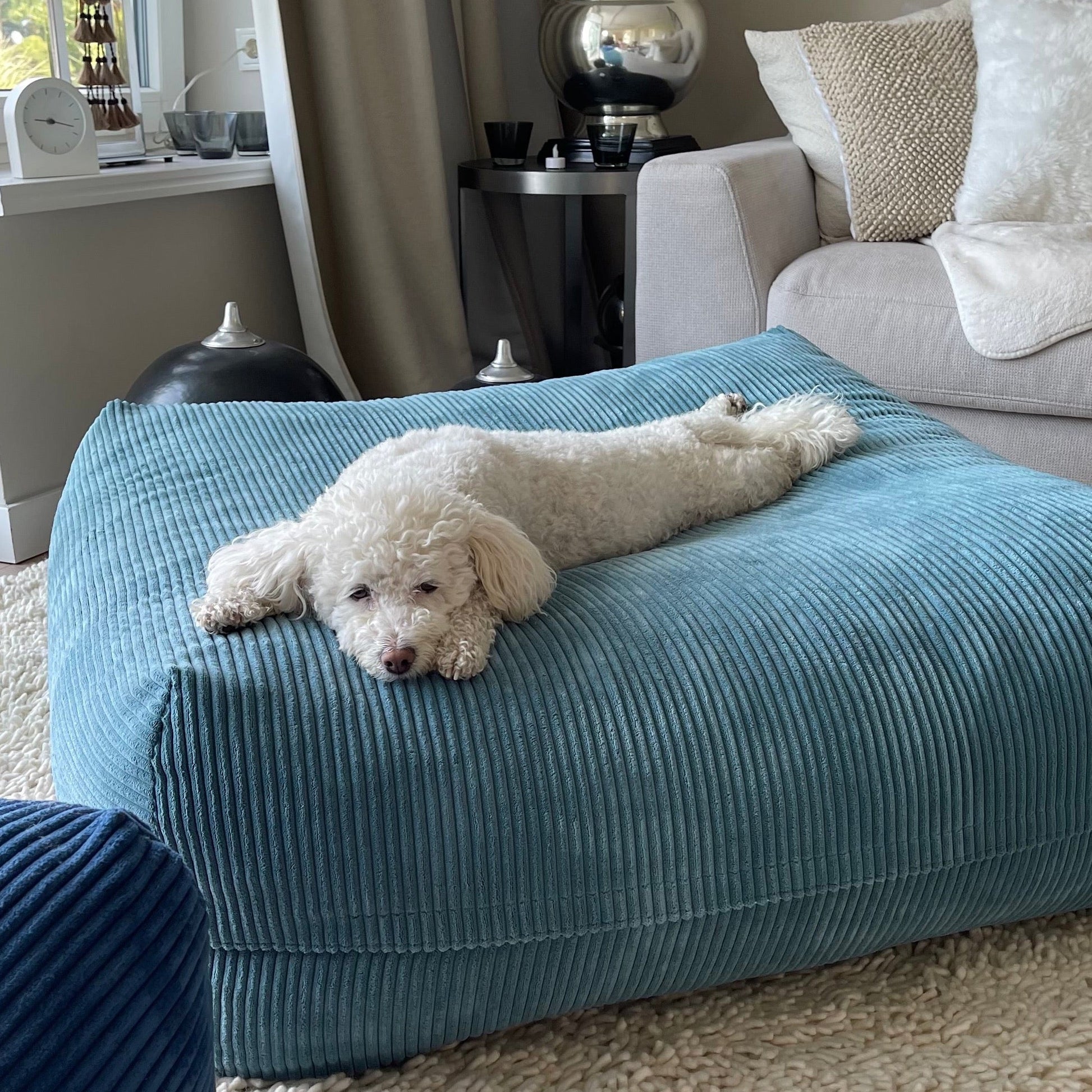 Hund liegt auf dem Poufet Pouf Hundebett in Breitcord Türkis – flaches Design ca. 25 cm, handgemacht in Deutschland