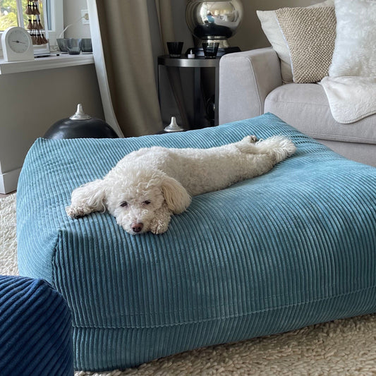 Hund liegt auf dem Poufet Pouf Hundebett in Breitcord Türkis – flaches Design ca. 25 cm, handgemacht in Deutschland