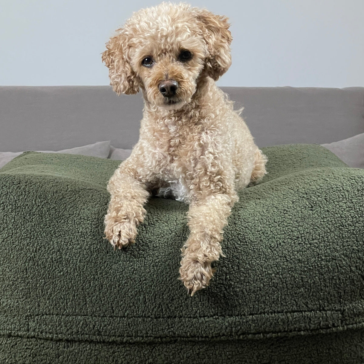 POUFET DreamPad Wechselbezug – Bouclé