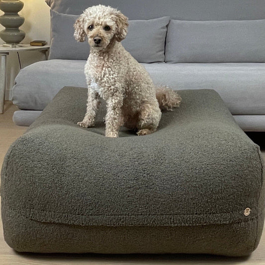 Kleiner weißer Hund liegt auf dem Poufet Pouf Hundebett in Bouclé Schokobraun – warmes Wohnzimmer-Setting, handgemacht in Deutschland