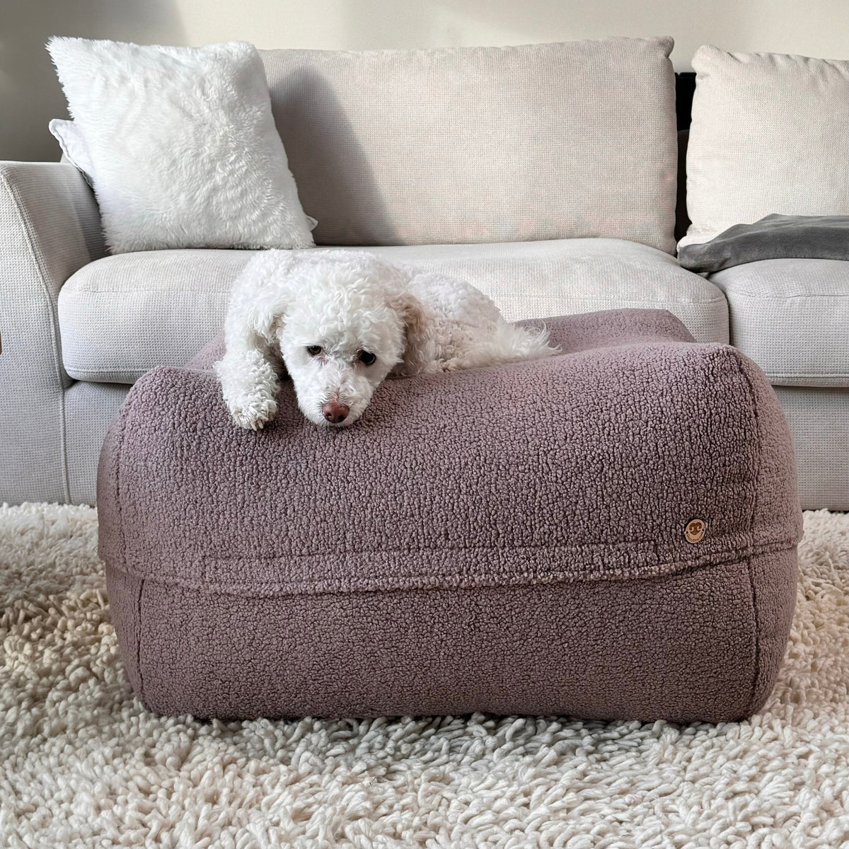 Hund liegt auf Poufet Pouf mit Bouclé-Bezug – handgemachtes Hundebett von Poufet
