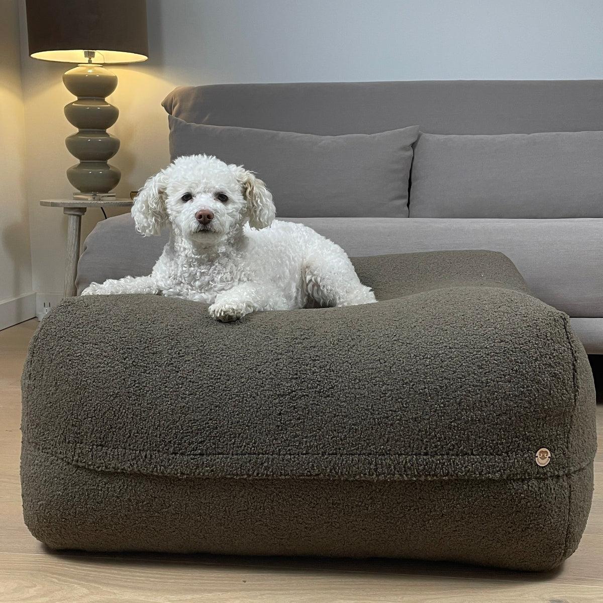 Hund liegt auf Poufet DreamPad mit Bouclé-Bezug – handgemachtes Hundebett von Poufet
