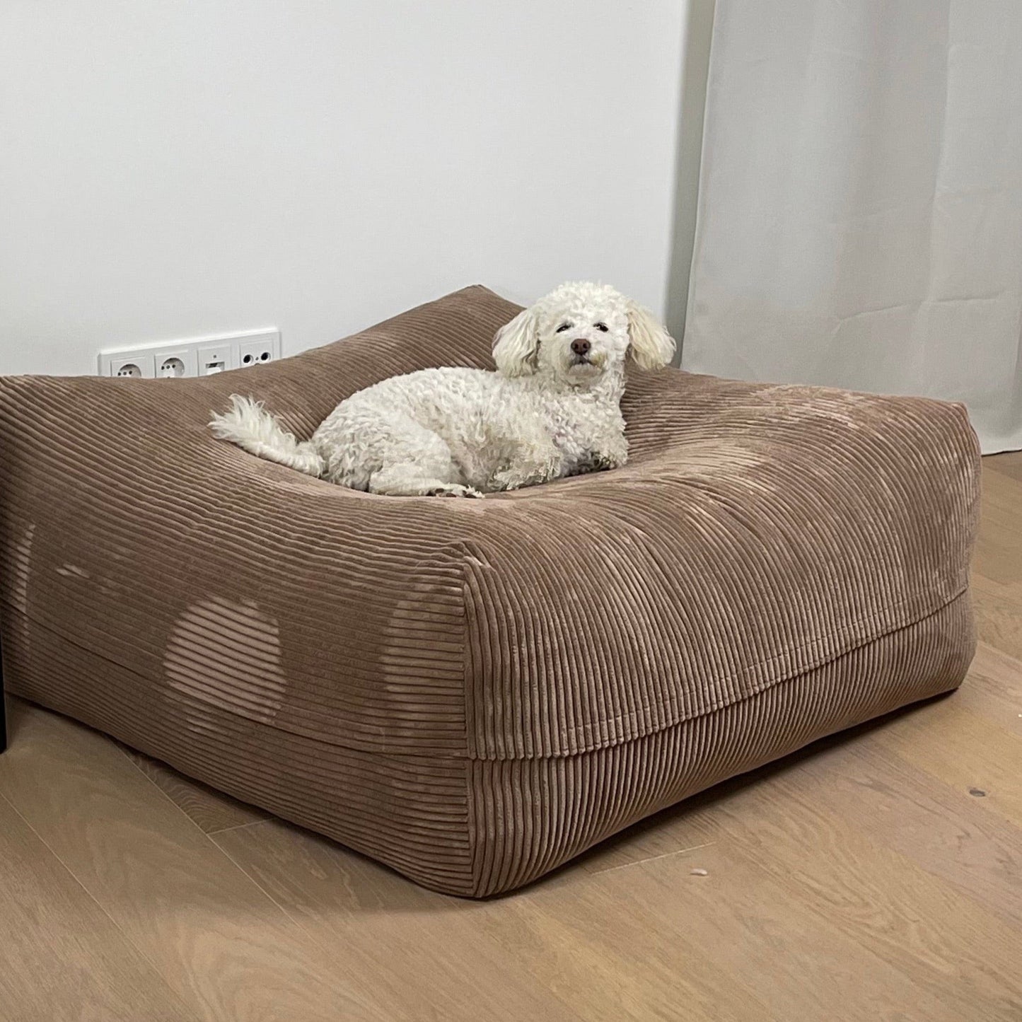 Hund auf dem Poufet DreamPad Breitcord Cappuccino im Wohnzimmer – sanfte Kuhle in der Mitte, orthopädischer Komfort, Poufet