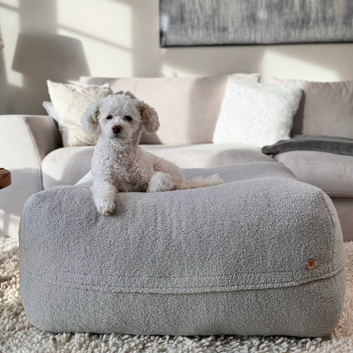 Hund liegt auf Poufet DreamPad mit Bouclé-Bezug – handgemachtes Hundebett von Poufet
