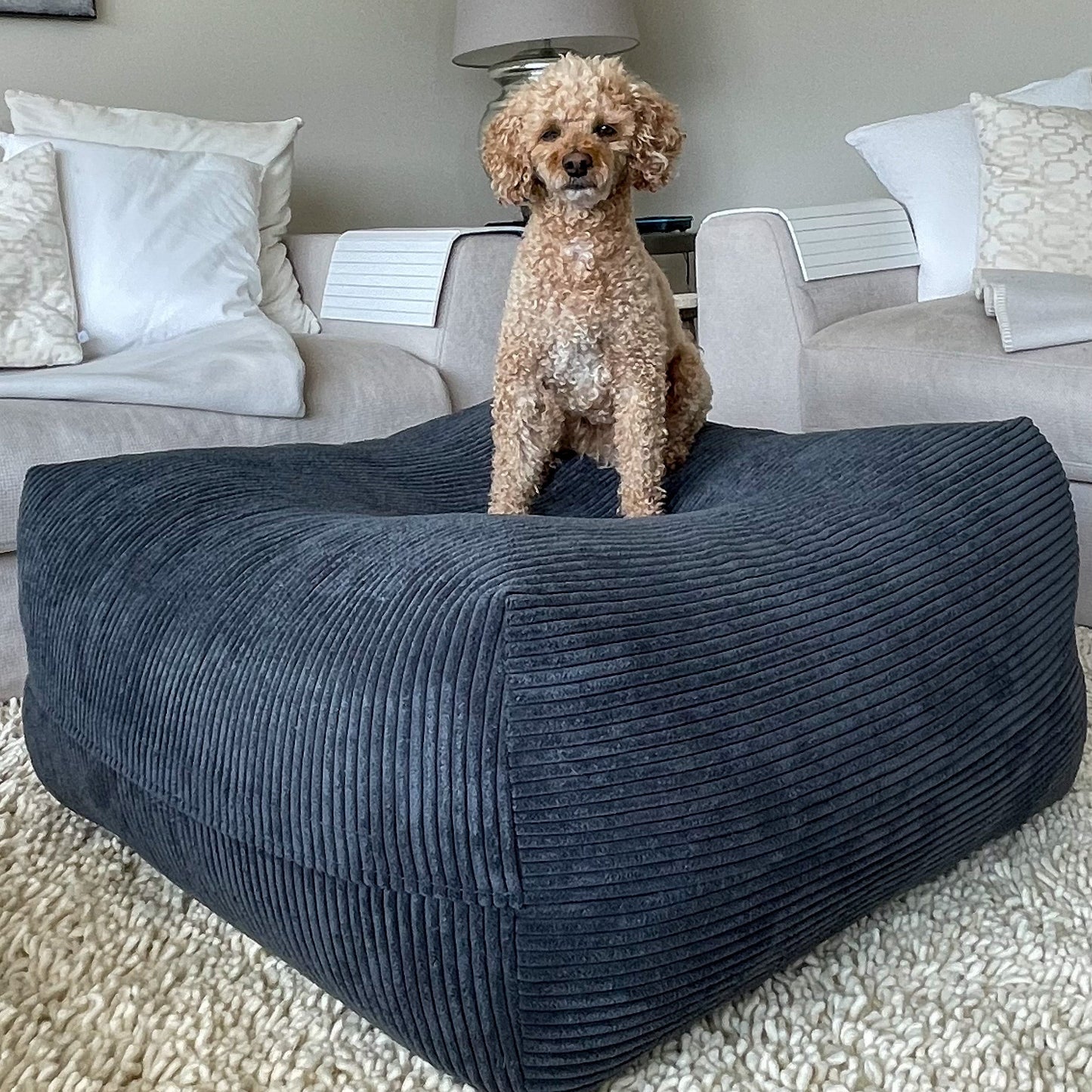 Kleiner Hund liegt auf dem Poufet DreamPad Breitcord Anthrazit – flaches Hundebett ca. 25 cm, handgemacht in Deutschland, Poufet
