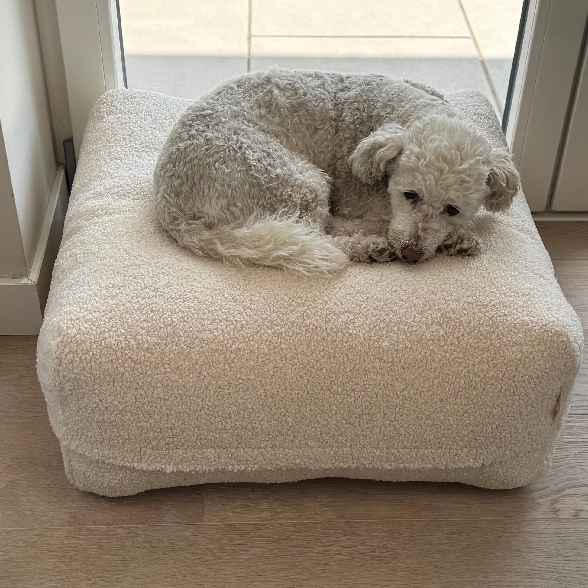 Hund auf dem Poufet DreamPad Breitcord Dunkelblau – sanfte Kuhle in der Mitte, orthopädischer Komfort, Poufet