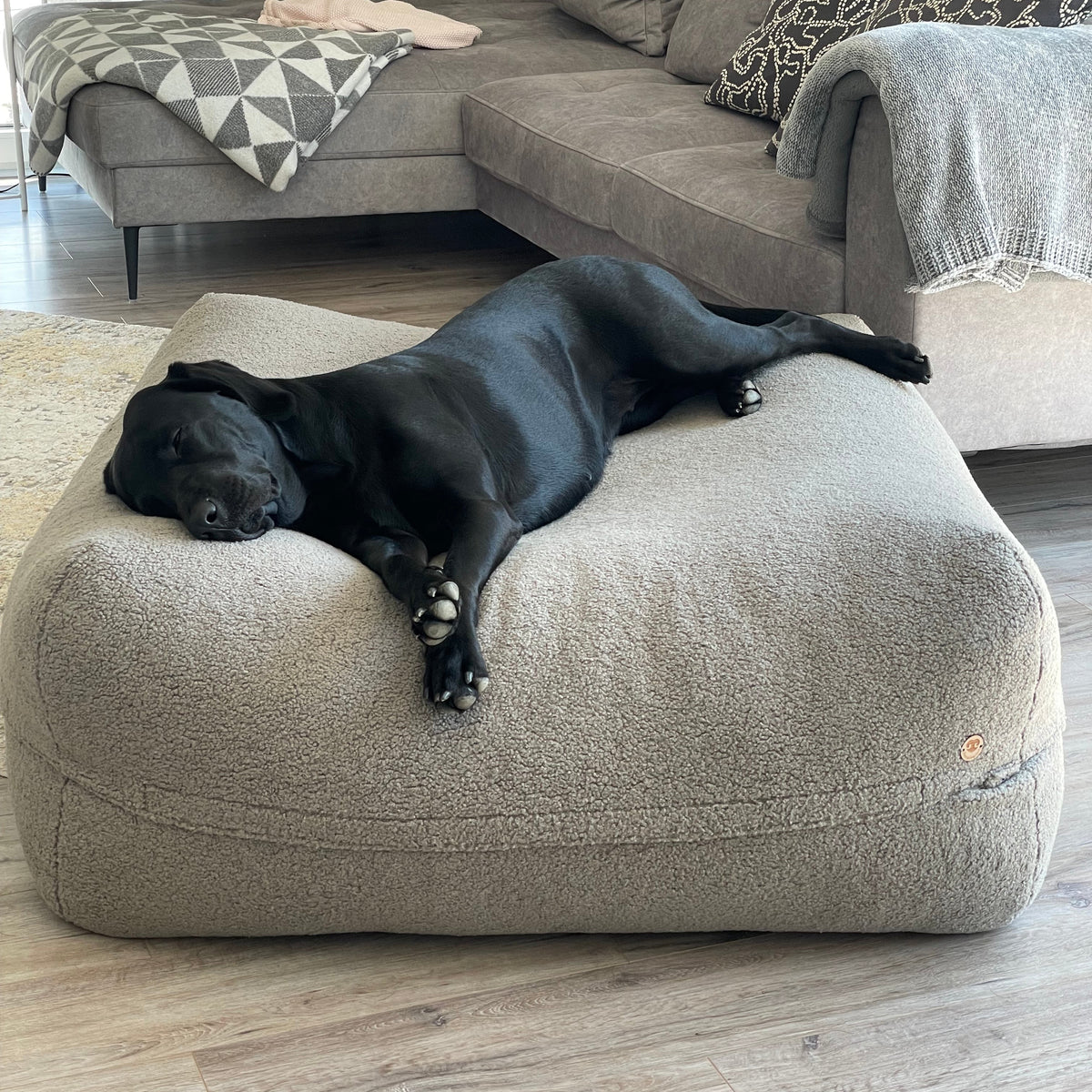 Schwarzer Hund schläft auf Poufet DreamPad mit Bouclé-Bezug – handgemachtes Hundebett von Poufet
