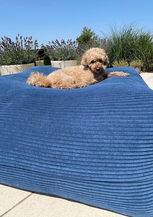 Hund liegt auf dem Poufet  Pouf Hundebett in Breitcord Blau – lebhafter Farbakzent, handgemacht in Deutschland