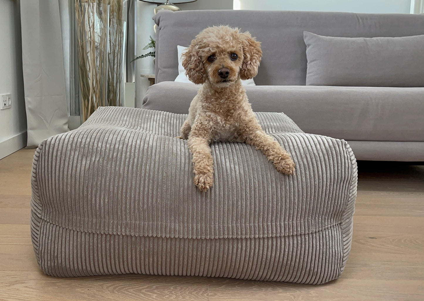 Hund liegt auf dem Poufet DreamPad Breitcord Taupe – sanfte Kuhle in der Mitte, orthopädischer Komfort, Poufet