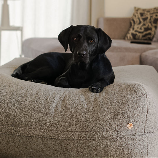 Schwarzer Hund liegt auf dem Poufet Pouf Hundebett in Bouclé Dunkelgrau – elegantes Wohnzimmer-Setting, handgemacht in Deutschland