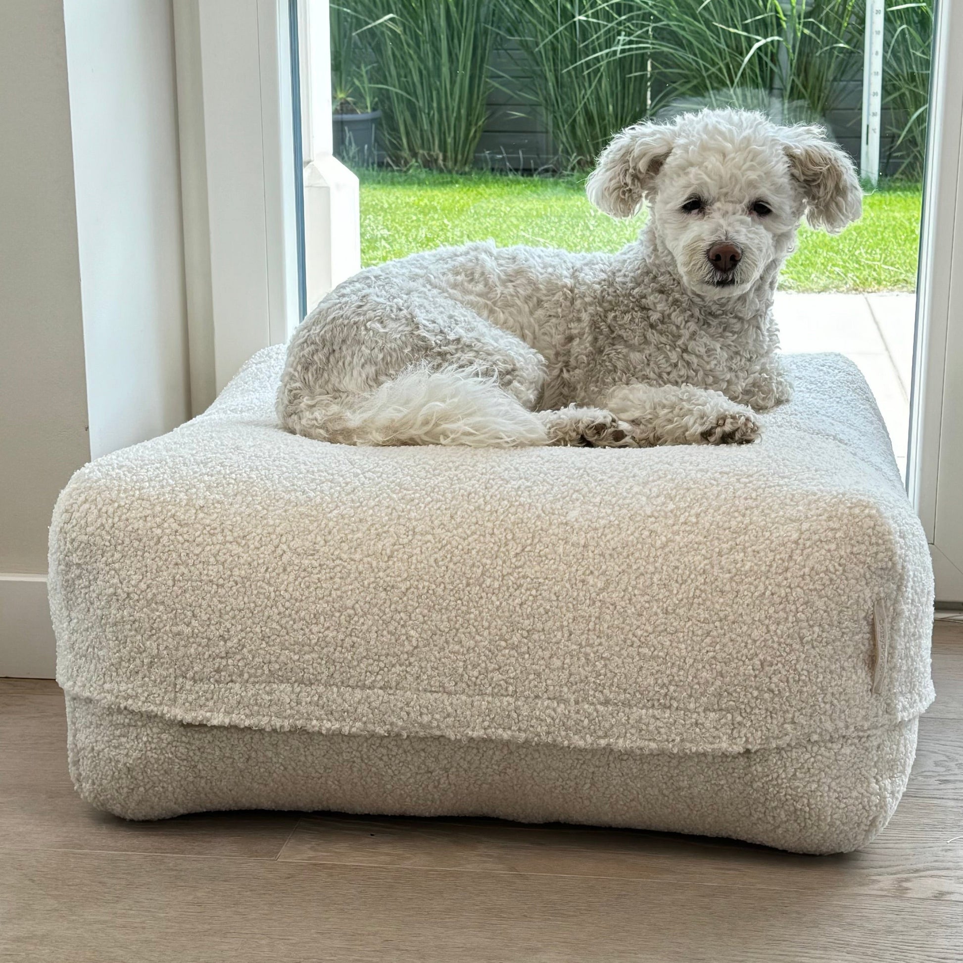 Hund auf dem Poufet DreamPad Breitcord Taupe im Garten – zeigt die großzügige Liegefläche, Poufet Manufaktur