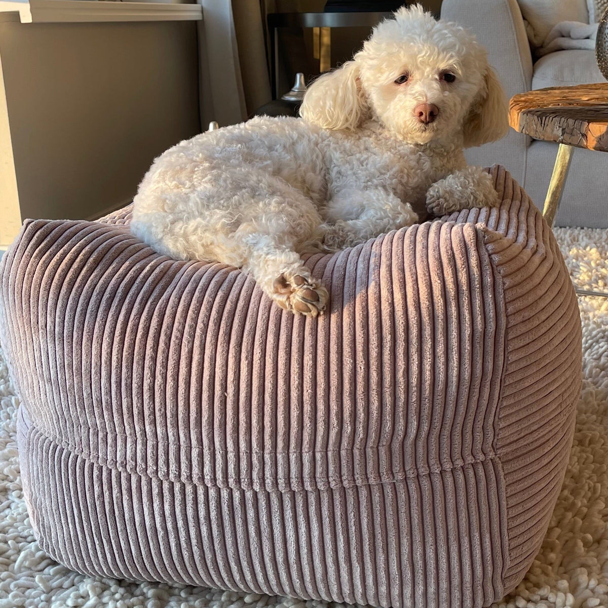Hund liegt auf dem Poufet Pouf Hundebett in Breitcord Altrosa – elegantes Altrosa im Wohnzimmer, handgemacht in Deutschland