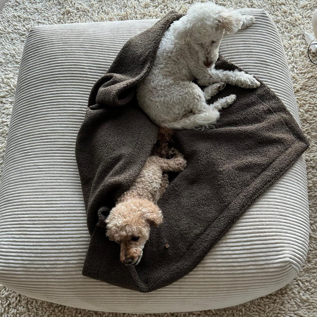 2 Hunde auf Poufet DreamPad mit Breitcord Bezug – Hundebett handgemacht in Deutschland
