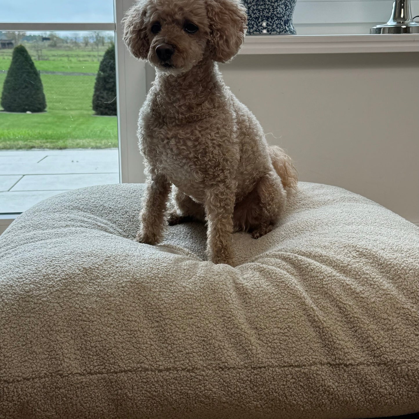 Hund entspannt auf dem Poufet Relax Pad Bouclé – Visco-Schaumflocken und Vlies-Matte für optimalen Gelenkschutz
