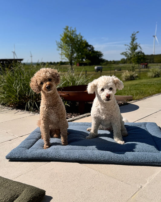 Hund liegt auf der Poufet Komfort Hundedecke Bouclé – weiche Hundedecke mit Vlies, handgemacht in Deutschland
