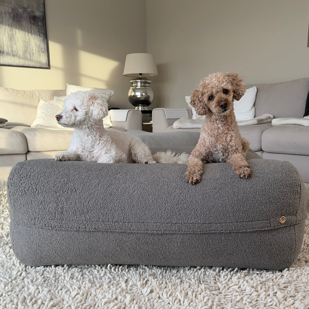 Hund liegt auf Poufet Pouf mit Bouclé-Bezug – handgemachtes Hundebett von Poufet
