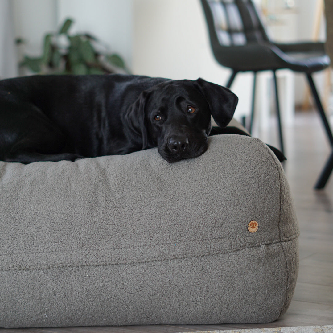 Hund liegt auf Poufet Pouf mit Bouclé-Bezug – handgemachtes Hundebett von Poufet