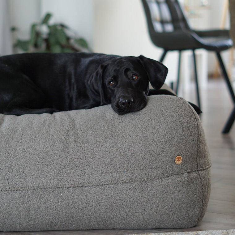 Hund liegt auf Poufet Pouf mit Bouclé-Bezug – handgemachtes Hundebett von Poufet