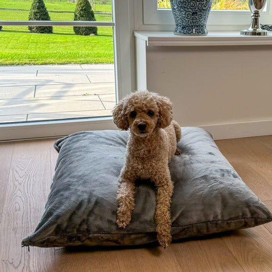 Hund liegt auf dem Poufet Relax Pad Fellimitat – Hundebett mit doppelter Füllung, handgemacht in Deutschland
