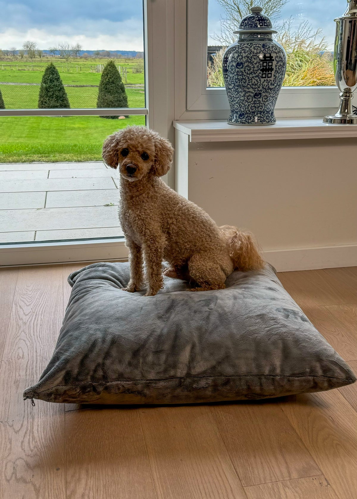 Hund sitzt auf Poufet Relax Kissen mit Kunstfell Bezug Dunkelgrau

