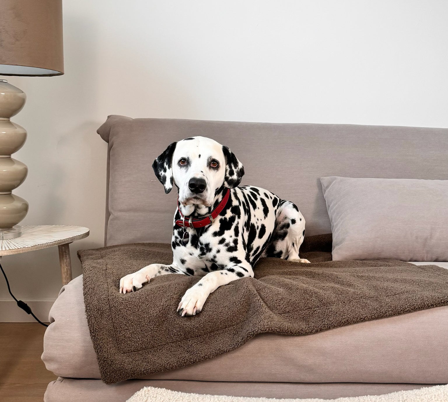 Schutz-Decke Braun – weiche, pflegeleichte Hundedecke, ideal für Sofa, Hundebett oder unterwegs