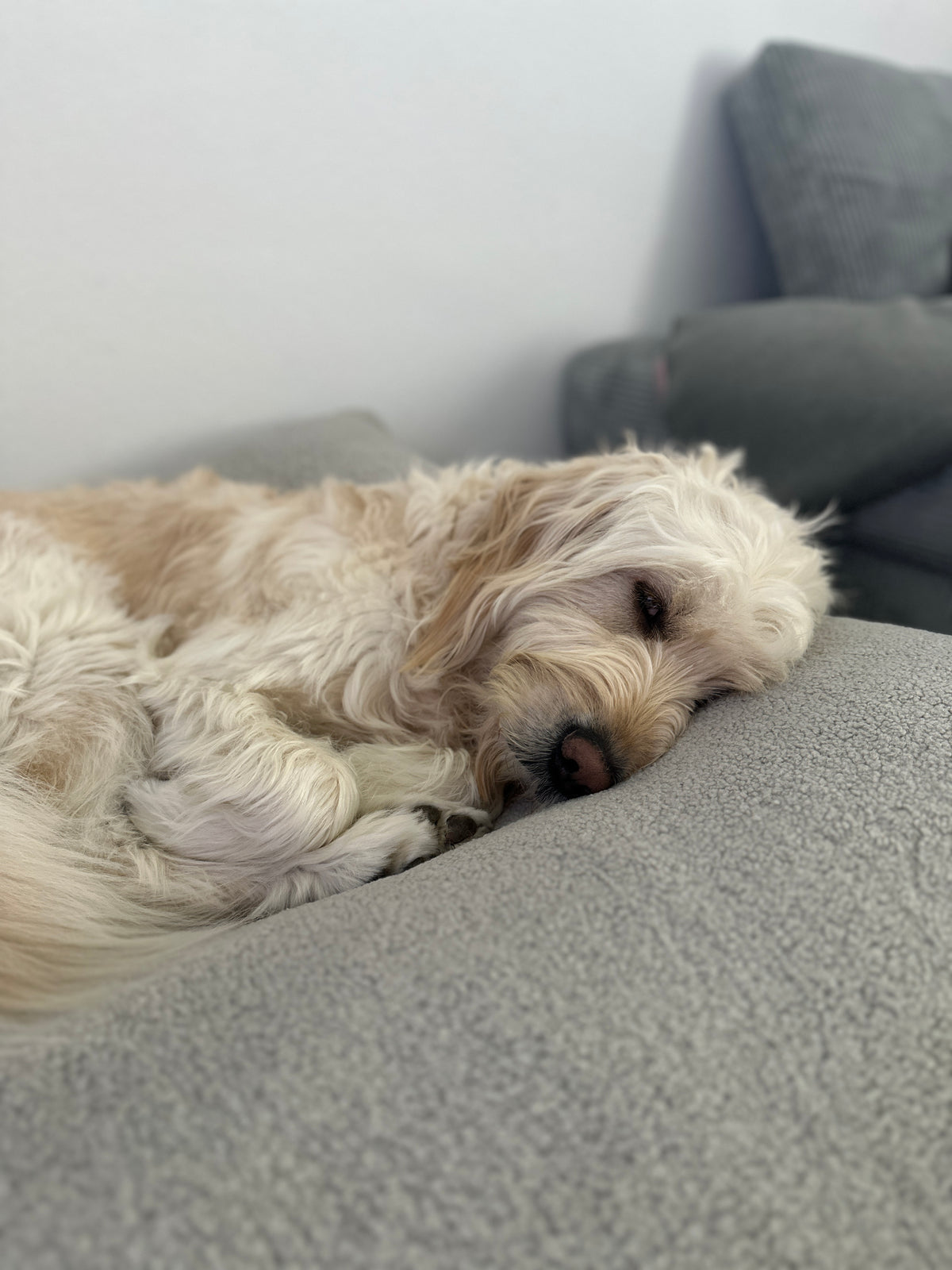 Poufet Pouf Teddystoff hellgrau – handgemachtes, orthopädisches Hundebett, weich & komfortabel für erholsamen Schlaf