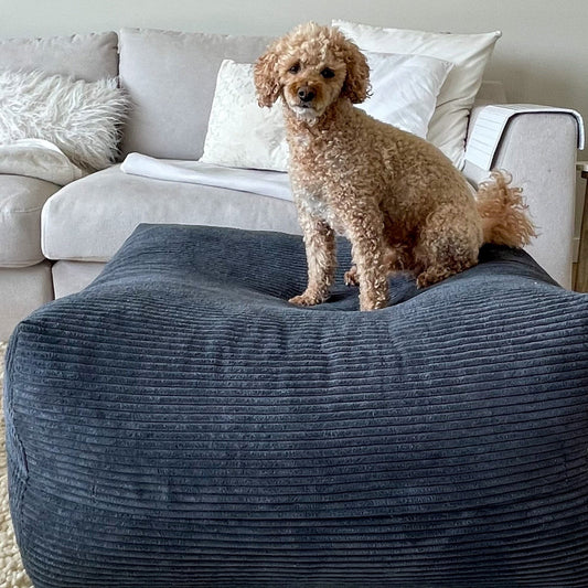Hund liegt auf dem Poufet Pouf Hundebett in Breitcord Anthrazit im Wohnzimmer – zeitloses Design, handgemacht in Deutschland
