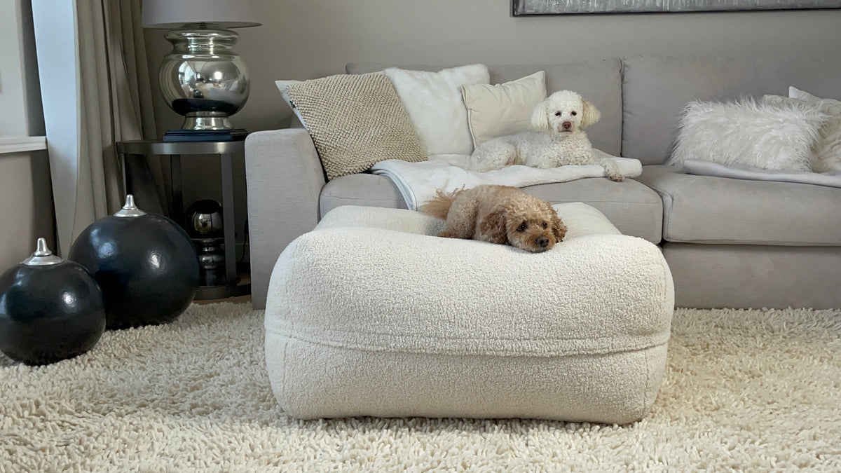 Poufet Pouf Teddystoff Creme – handgemachtes orthopädisches Hundebett, weich & stilvoll, mit zwei Pudel-Hunden