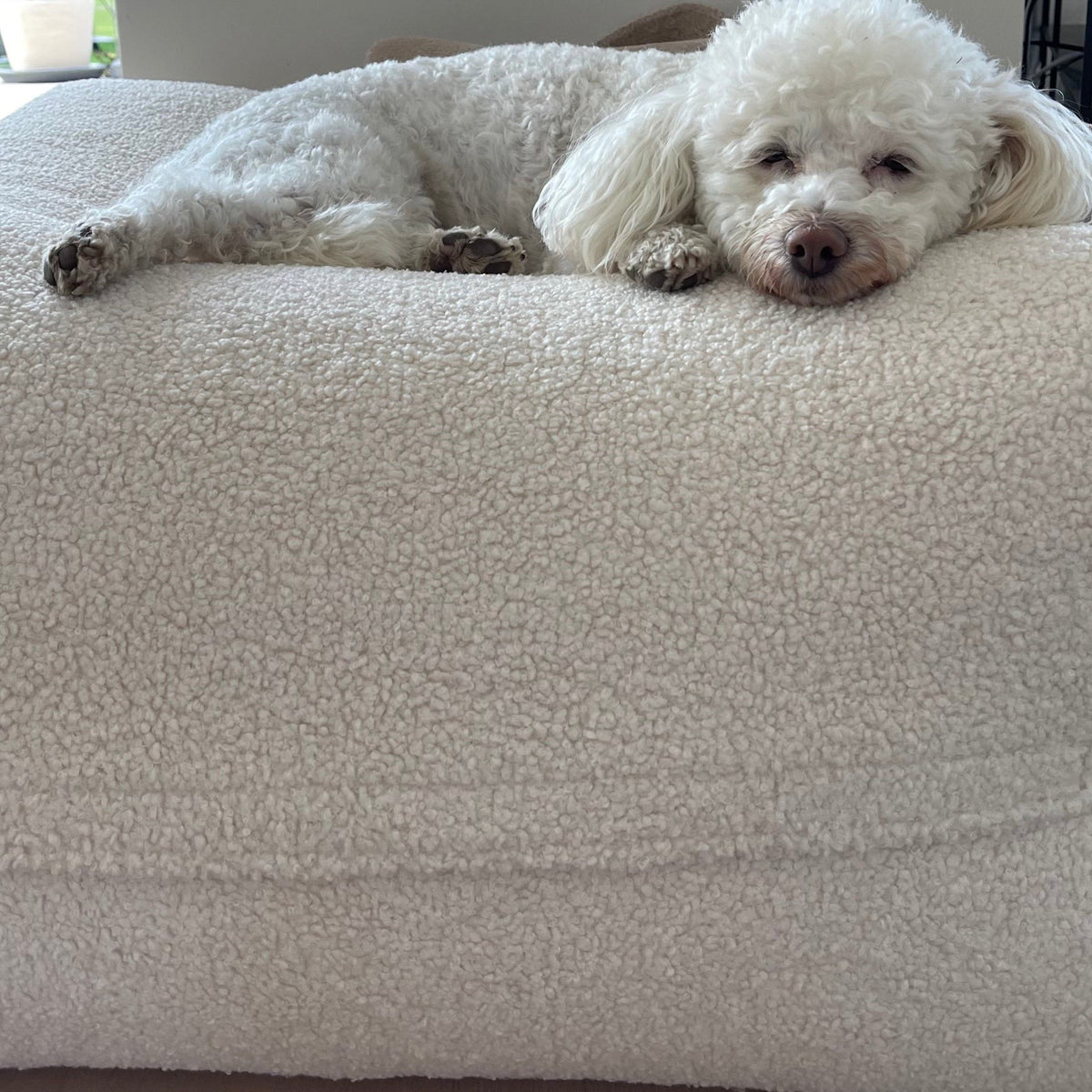 Kleiner weißer Hund liegt auf dem Poufet Pouf in Bouclé Creme/Offwhite – kuschelige Mulde, Poufet Manufaktur
