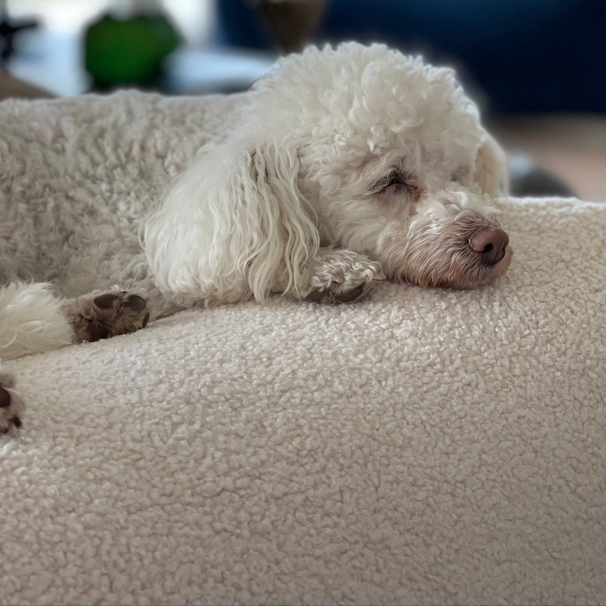 Poufet Pouf Bouclé Creme im Wohnzimmer – Premium Hundebett als Einrichtungsgegenstand, Poufet 