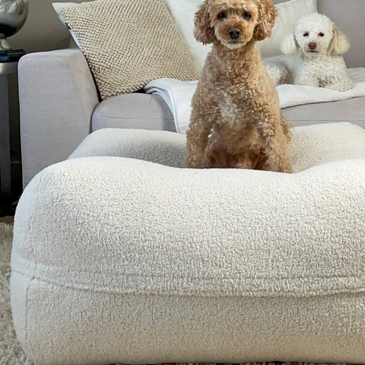 Hund auf dem Poufet Pouf Bouclé Creme – Seitenansicht zeigt die ca. 40 cm hohe Liegefläche, Poufet 